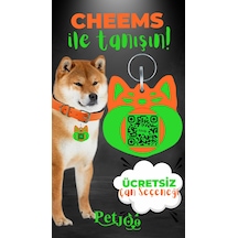 Petjoo 18.Cheems Yeşil-Turuncu Qr'lı Köpek Künyesi