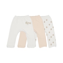 Ekru