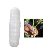 Şı Bandı Ithal Bitki Meyve Aşılama Bağı 1 Kalite 500 Gram