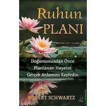 Ruhun Planı / Robert Schwartz