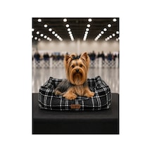 Premium Kedi Ve Köpek Yatağı Kafa Destekli Kaydırmaz Taban Yıkanabilir Fermuarlı Minder %100 Boncuk Elyaf Siyah - 879480674 S