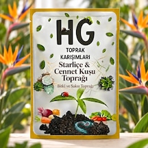 Hg Starliçe & Cennet Kuşu Toprağı 40 LT