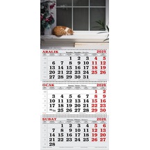 2026 Yılı Gemici Takvimi-camın Önündeki Kedi
