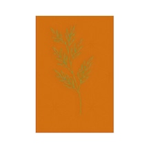 Kartela Halı Evo Halı Jüt Taban Dokuma Halı Turuncu - 100 X 150 Cm