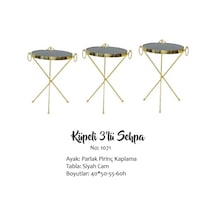 Zigon Brc Küpe Model Metal Transmisyon Çelik Gold Renk Kaplama Dü