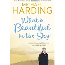 What İs Beautiful İn The Sky: A Book About Endings And Beginnings