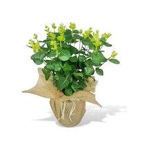 Yapay Çiçek Keten Saksıda Okaliptus Yeşil 12dal 40cm Salon Çiçeği Yapay Bitki Diğer