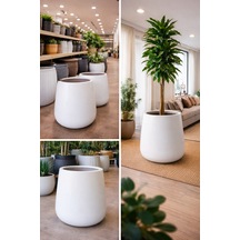 Fiberglas Saksı Hafif Beton Yükseklik 50 Genişlik 35 Santim