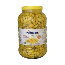 Günsan Biberiye Turşusu 4200 G