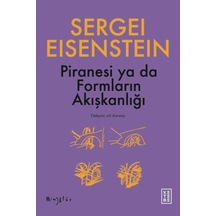 Piranesi Ya Da Formların Akışkanlığı
