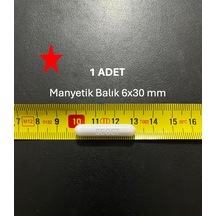 Manyetik Balık 6x30 Mm - Boy:30 Mm - Çap:6 Mm - 1 Adet