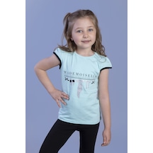Mint Yeşili