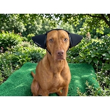 Köpek Kulaklığı Gürültü Önleyici Su Geçirmez Xs-s-m-l