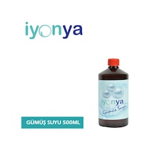 Gümüş Suyu 500ml