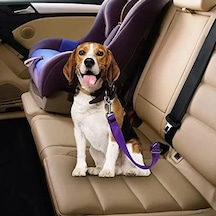 Kedi Ve Köpekler İçin Oto Emniyet Kemeri, Mor