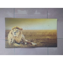 Dijital Baskılı Kapı Önü Daire Paspası Kauçuk Tabanlı 39*69 Cm A3