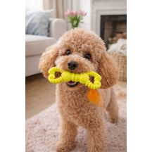 Elastik Diş Kaşıma Oyuncağı - Köpekler İçin Sağlam Ve Eğlenceli