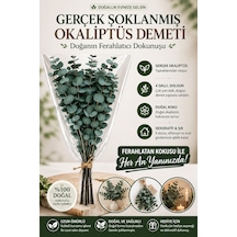 Doğal Yeşil