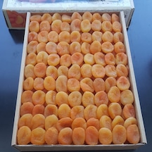 Toptan Lüks Ortaboy Sarı Kayısı 3 No 10 Kg 10 KG