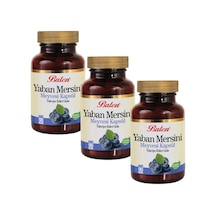 Balen Yaban Mersini Meyvesi 375 MG 90 Kapsül 3 Adet