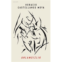 Anlamsızlık / Horacio Castellanos Moya
