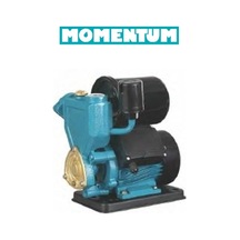 Momentum Pksm130 0.17hp 220v Kendinden Emişli Sıcak Su Hidrofor