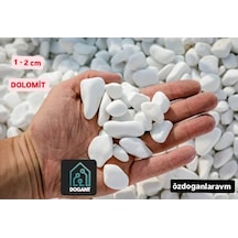 Dolomit Vazo Saksı Süs Dekor Beyaz Taş 2 Kg