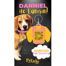 Petjoo 21.Danniel Sarı-Pembe Qr'lı Köpek Künyesi
