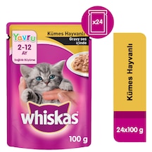 Whiskas Junior Kümes Hayvanlı Pouch Yavru Kedi Yaş Maması 24 x 100 G