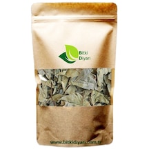 Okaliptus Yaprağı Paket 100gr