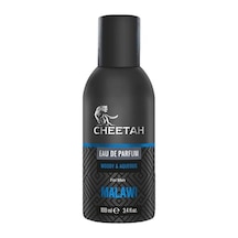 Malawı Woody & Aqueous Erkek Parfüm 100ml Amber