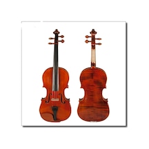 Picaldi Vh50J Nb 4/4 Keman