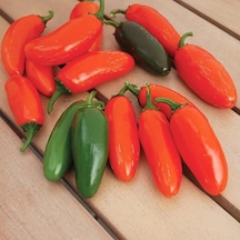 Nadir Ata Tohumu Çok Acı Gialla Jalapeno Biber Tohumu 10 Tohum