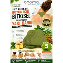 Health Sırt, Omuz, Bel, Boyun, Fıtık Için Bitkisel Isıtmalı Fizik Yakı Bandı 5 Adet