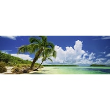 Heye Puzzle Paradise Palm 2000 Parça Panorama