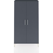 Arges Dolap 2 Raflı Kapaklı Tek Askılı 88x30x163 Antrasit-ant... Antrasit