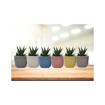 Omnipazar Krs-383 Dekoratif Plastik Mercan Kare Saksı 1.8 Lt 6 Renk Set