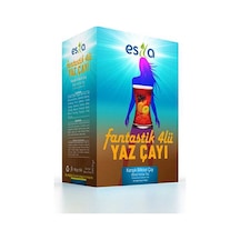 Fantastik 4 Lü Yaz Çayı 45 Li.