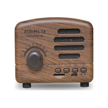 Ankatek Taşınabilir Retro Klasik Kablosuz Jzr-gy Hoparlör Ahşap Tasarım Bluetooth Hoparlör Geeroyoo Desen Rb - Gümüş