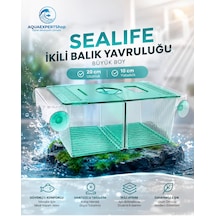 Akvaryum İkili Balık Yavruluğu Büyük Boy 20x10 Cm Turkuaz Güvenli Çift Bölmeli Tasarım