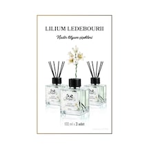 3'lü Lilium Ledebourii Çubuklu Oda Kokusu 100 Ml Lilyum