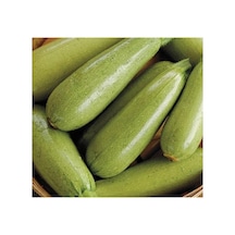 Sakız Kabak Tohumu - 10 Gram