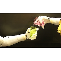 Robot El Inmoov