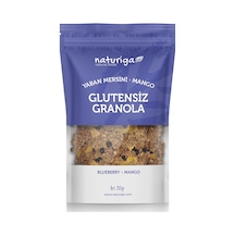 Naturiga Glutensiz Yaban Mersini & Mango Granola 250 G