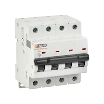 Valta Otomatik Sig.10ka B Tip 4p 10a