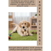 Dayanıklı Evcil Hayvan Kedi Küçük Irk Köpek Eğlenceli İlgi Çekici Sesli Köpek Tasarımlı Oyuncak