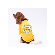 Sarı Loviisa Sweat Kedi Köpek Sweat- Kedi Köpek Kıyafeti