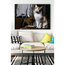 Pster16466 Kedi Hayvan Kanvas Tablo 6 21 X 30 7/8 Yaş