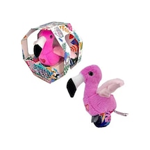 Konuşan Ve Taklit Eden Flamingo