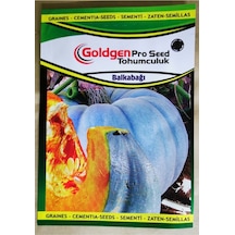 Goldgen Pro Seed Bal Kabağı Tohumu